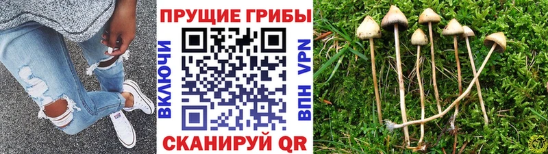 Псилоцибиновые грибы мухоморы  купить   Ярцево 
