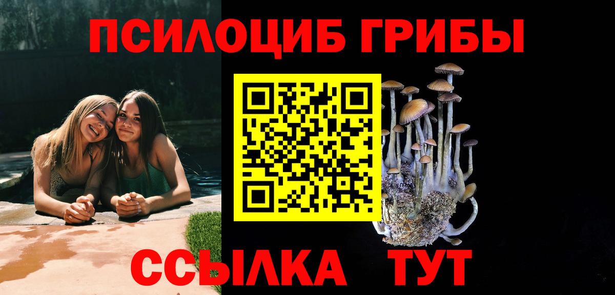 наркота  Псилоцибиновые грибы GOLDEN TEACHER  Вход с VPN  Ярцево  Галлюциногенные грибы мицелий 